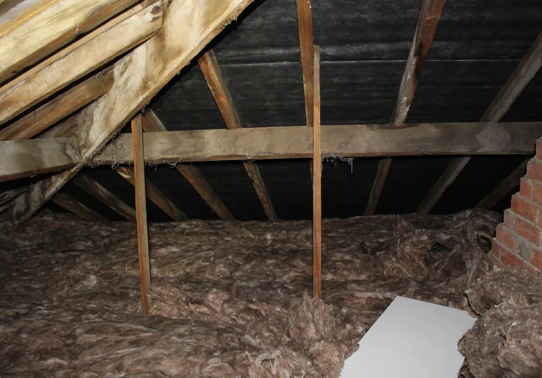 Inside the original roof: century-old timbers and joist-level mineral wool
